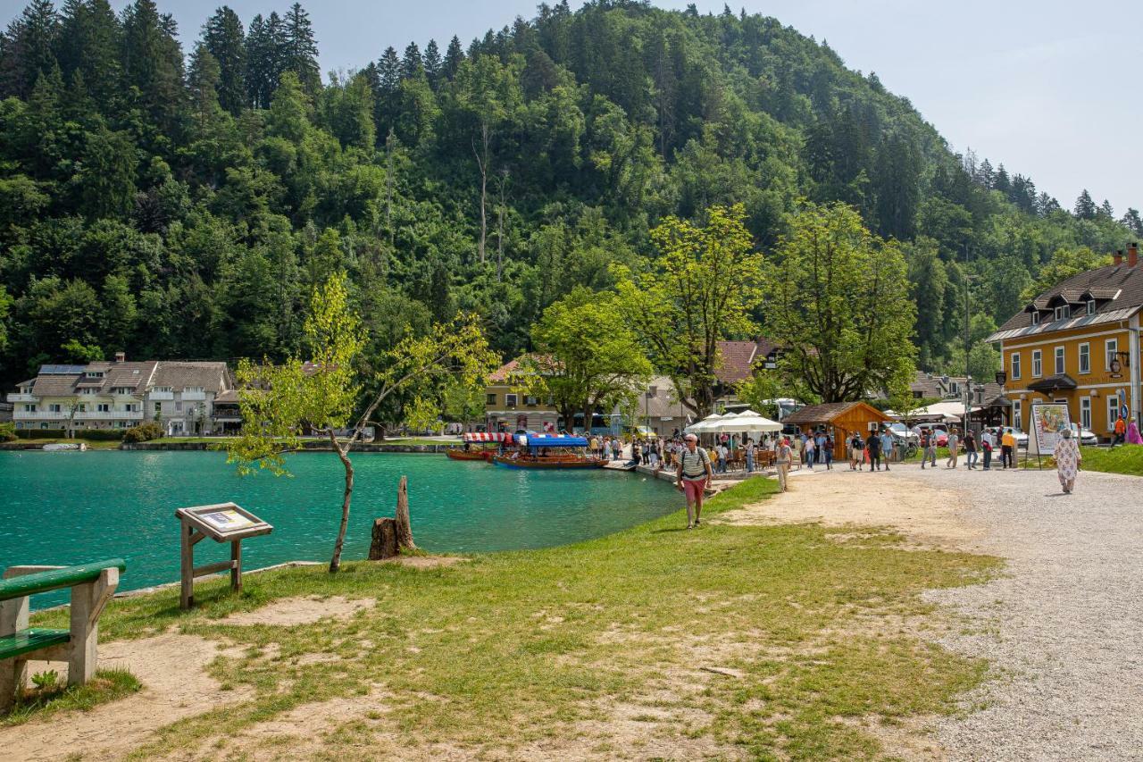 Bled Honey Bee Apartment מראה חיצוני תמונה